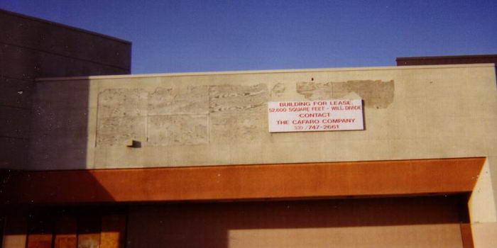 Fort Saginaw Mall - From Bob P